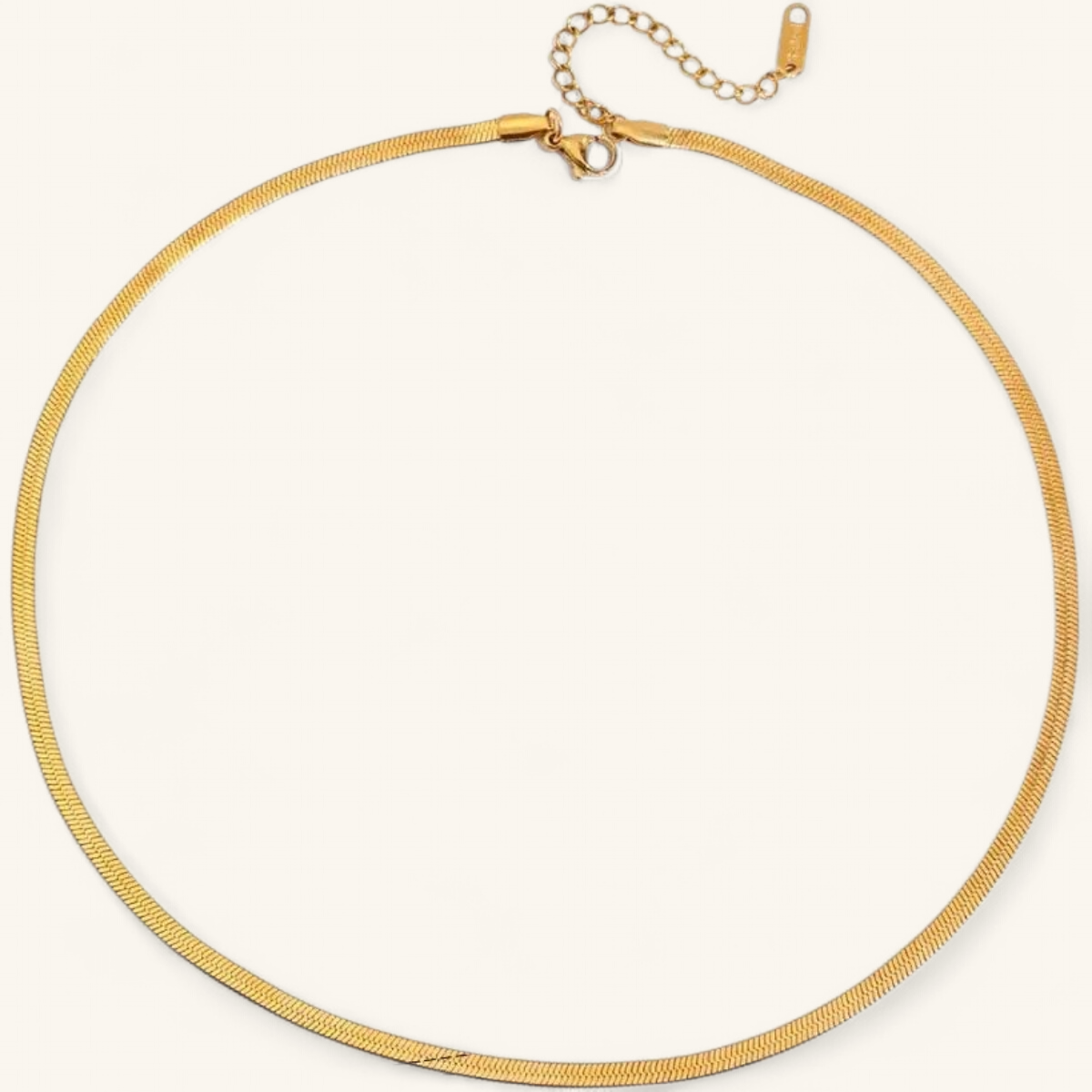 Gold Snake Chain Collar Necklace — clean studio packshot